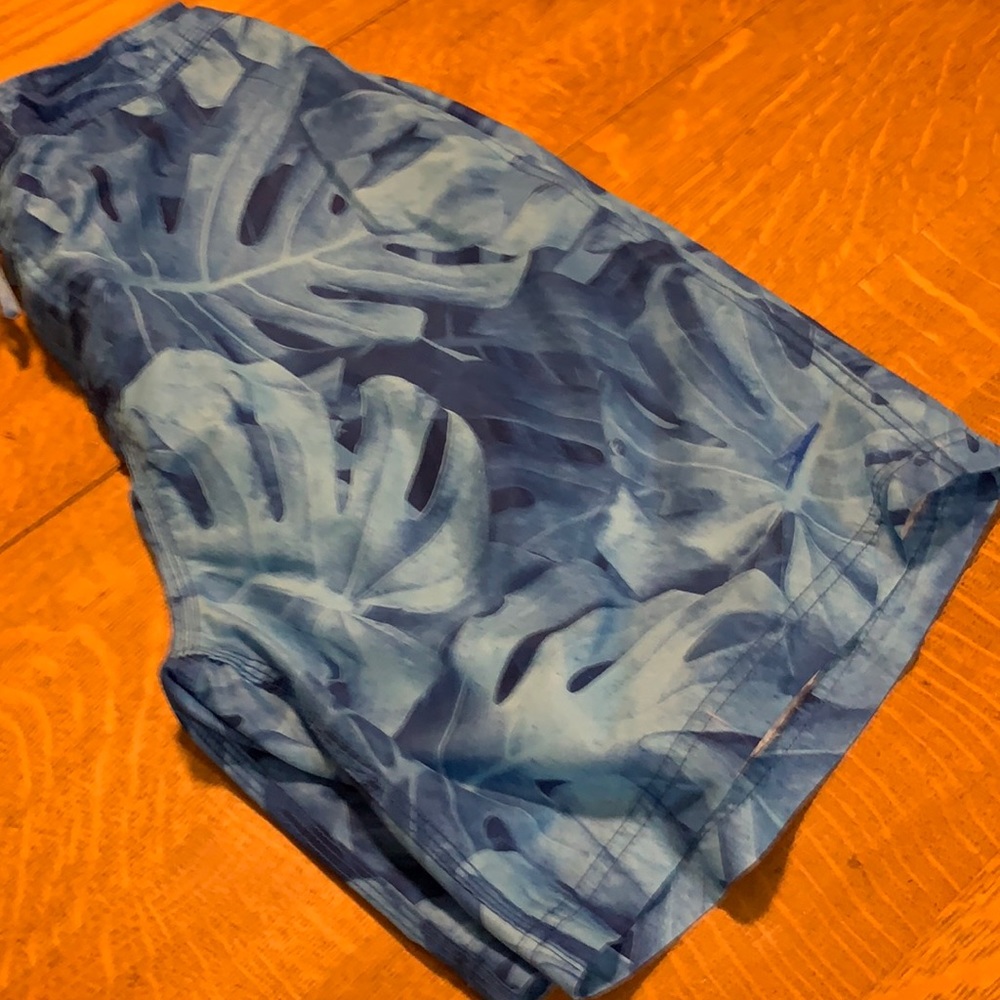 Men’s Speedo Swim Trunks